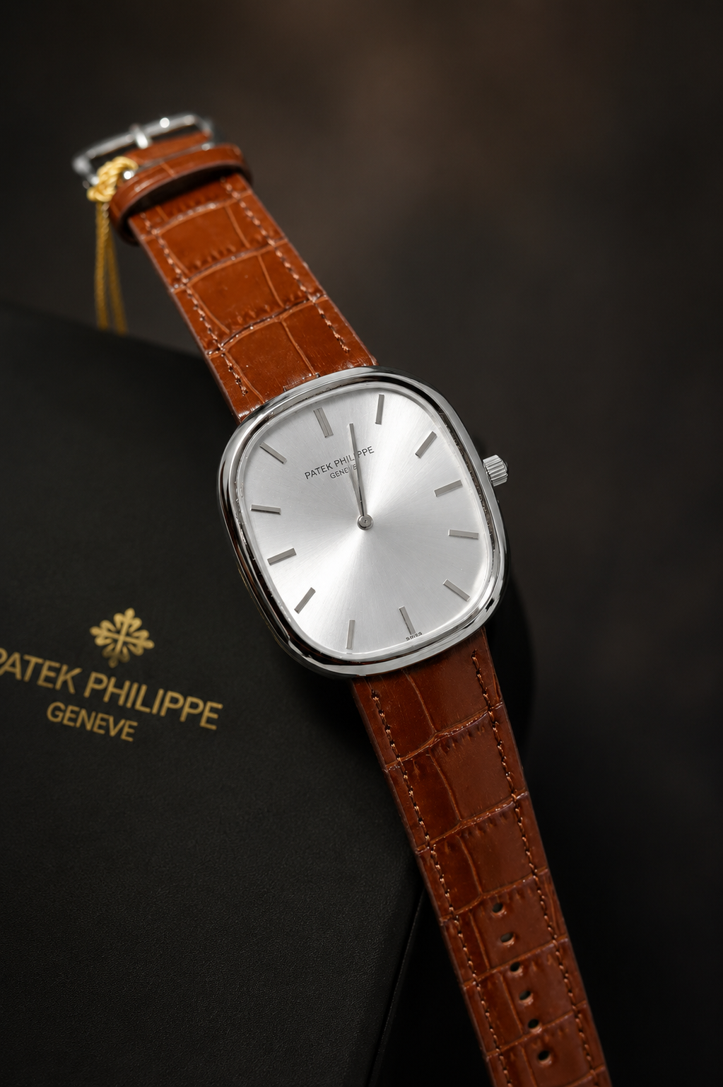 Patek Philippe Ellipse | Silver Case