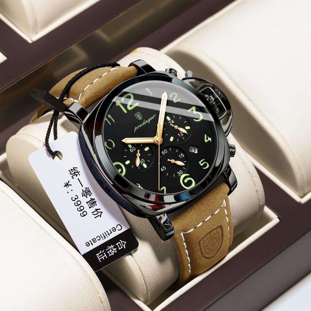 POEDAGAR Luxury Watch for Man Waterproof