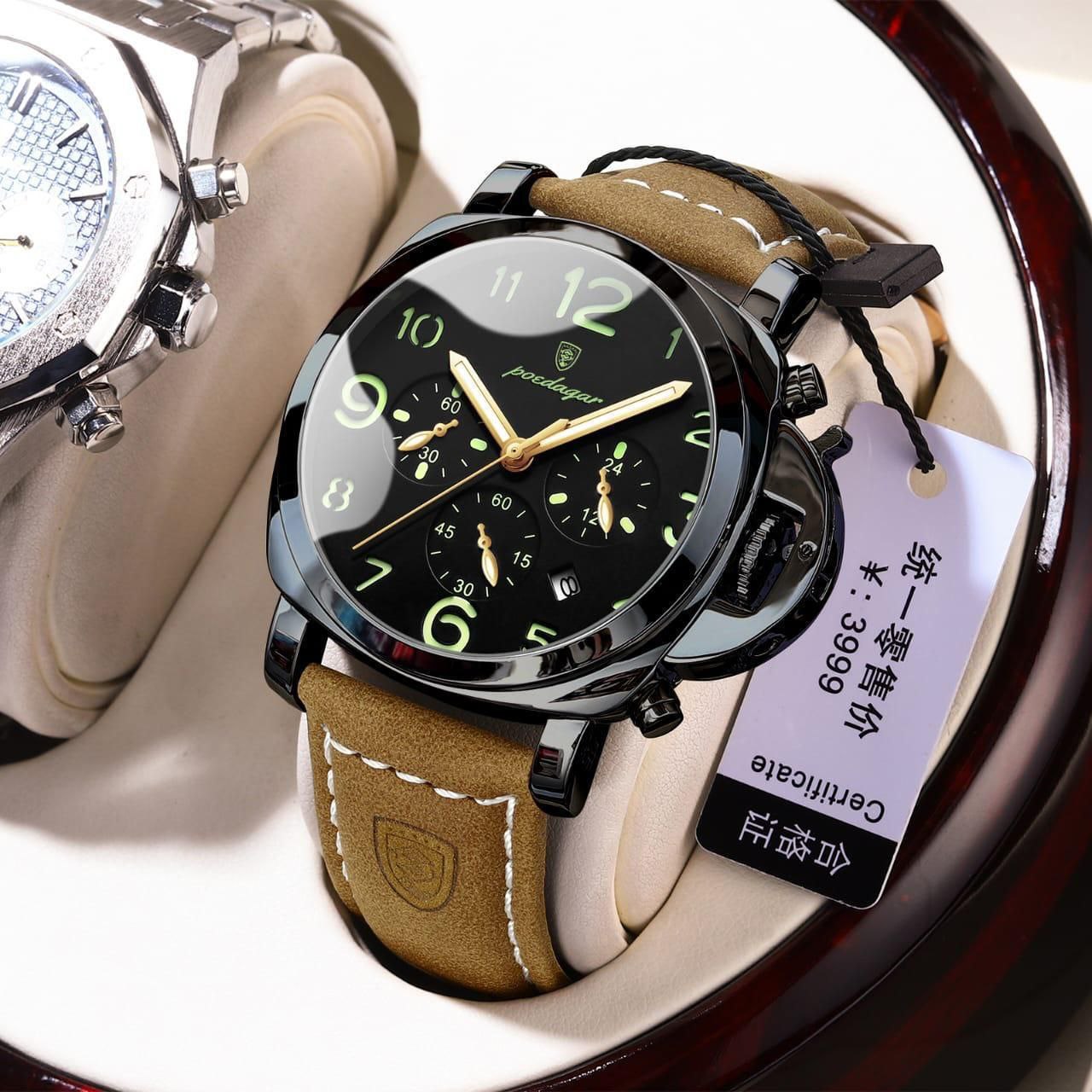 POEDAGAR Luxury Watch for Man Waterproof