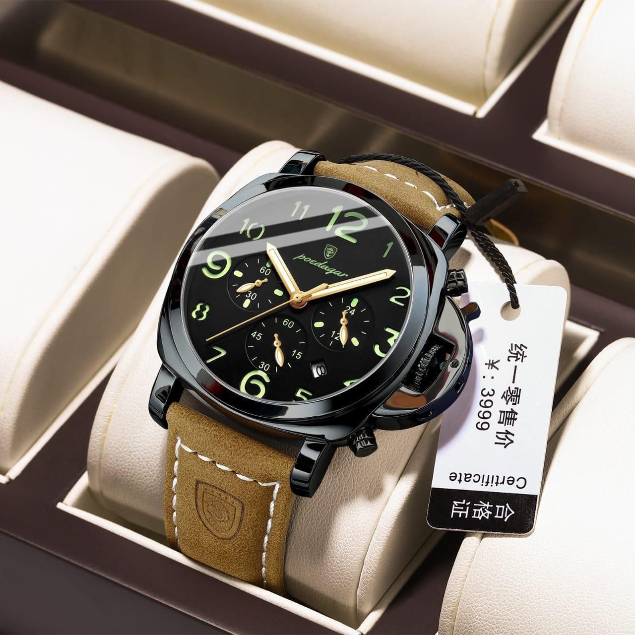 POEDAGAR Luxury Watch for Man Waterproof